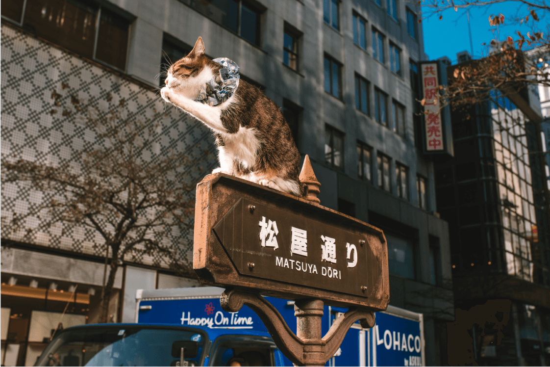 Tokyo, 2018